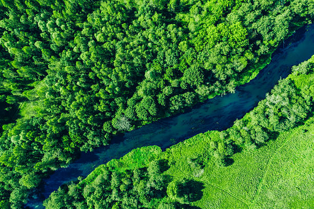 istock Aerial drone view of deep blue river and green summer woods and grass fields 2229525405
