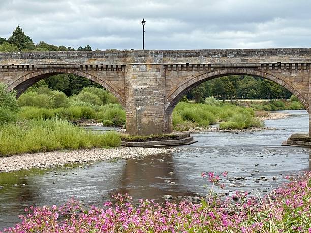 istock A historic stone bridge spans a calm river beneath a cloudy sky, with wildflowers blooming in the foreground. This picturesque scene blends architecture and nature in a peaceful countryside setting. 2229525471