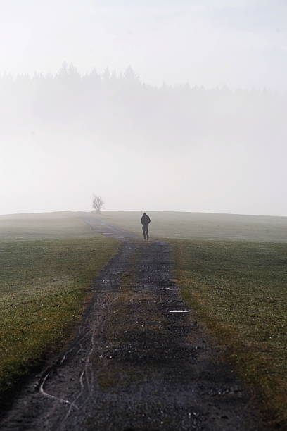 istock Man is walking down a path in a foggy field 2229525667