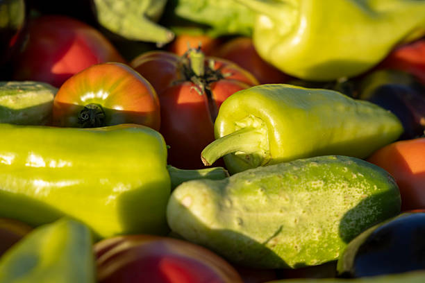 A bunch of vegetables including tomatoes, cucumbers, and peppers. The peppers are green and the tomatoes are red
