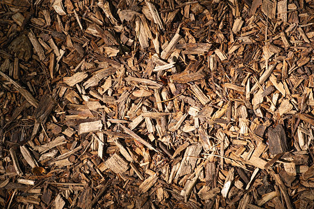 Close-up of organic wood mulch used in sustainable gardening, improving soil health and retaining moisture