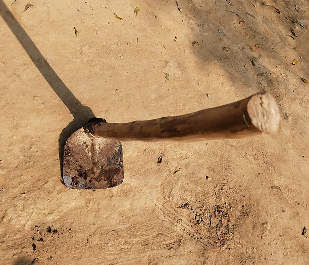 Traditional iron hoe used by a farmer for digging soil manually in agricultural field to create irrigation channels during farming work in rural India
