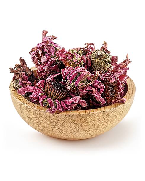 istock Wooden Bowl with Dried Echinacea Flowers 2229532692