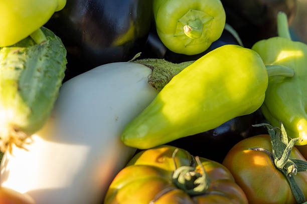 A bunch of vegetables including tomatoes, peppers, and squash. The vegetables are all different colors and sizes