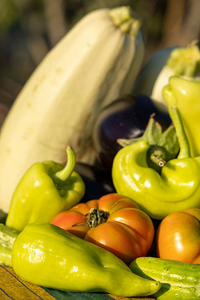 vegetables on the table