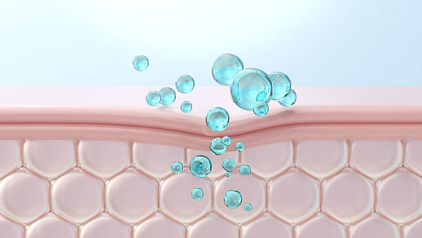istock Serum drop penetrating skin layers cross section view 3D illustration 2229534206