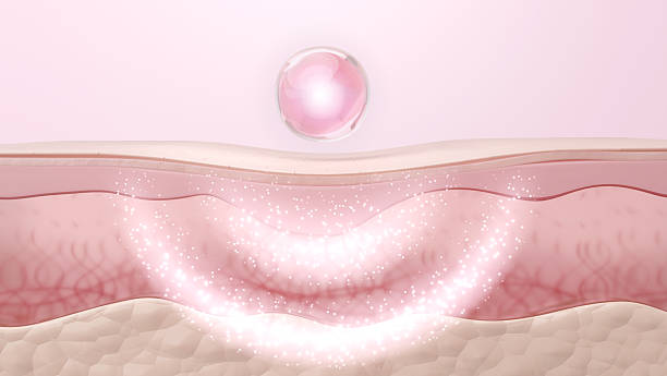 istock PDRN serum repairing damaged elastin in skin cross section 3D 2229534252