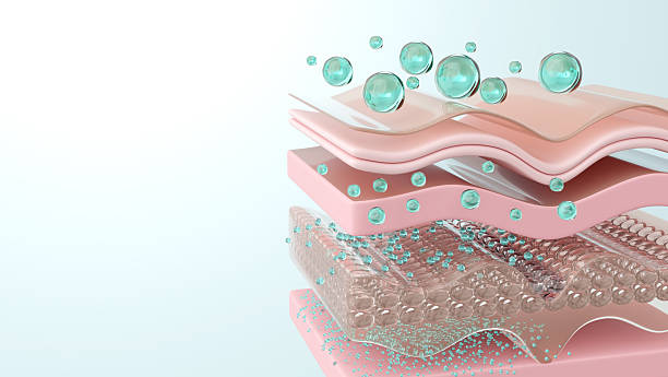 istock Hyaluronic acid molecules absorbing in skin layers 3D illustration 2229534269