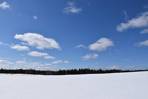 istock One day in February 2229537039