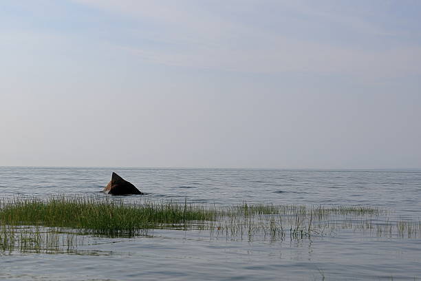Rocks exposed at low tide illustrate the navigational challenges for boaters