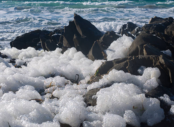 Accumulation of foam produced from toxic algae among rocks in Penneshaw, Kangaroo Island, Australia.