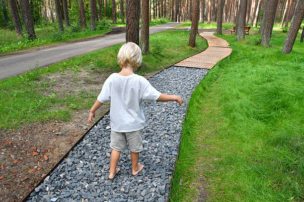 Little Barefoot boy walking on a sensory trail through a sunny pine forest in Lithuania