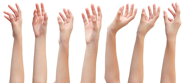 istock Set of woman's hands in beautiful poses on white background 2229543994