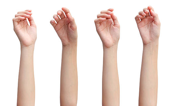 istock Set of woman's hands in beautiful poses on white background 2229543998