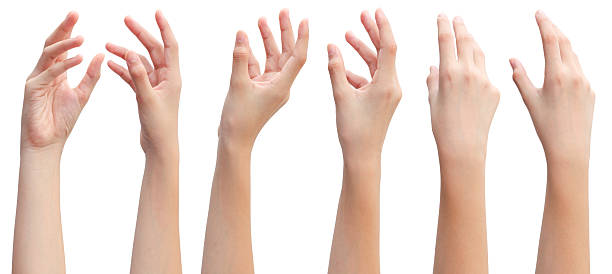 istock Set of woman's hands in beautiful poses on white background 2229544010