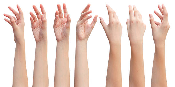 istock Set of woman's hands in beautiful poses on white background 2229544026