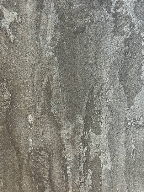 Textured patterns captured in original artistry reflecting nature's intricate designs