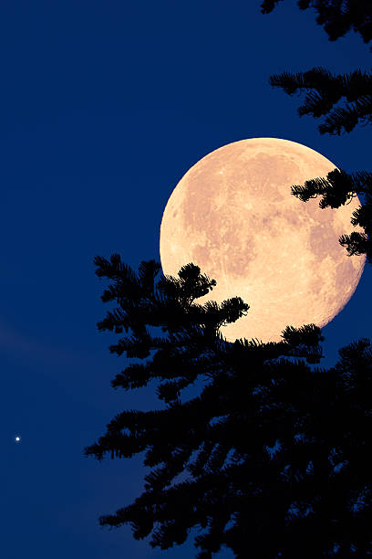 istock Full Moon with stars, planets and rural countryside tree silhouettes. 2229547337