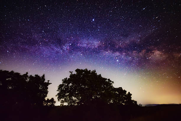istock Milky Way stars and rural countryside tree silhouettes 2229547484