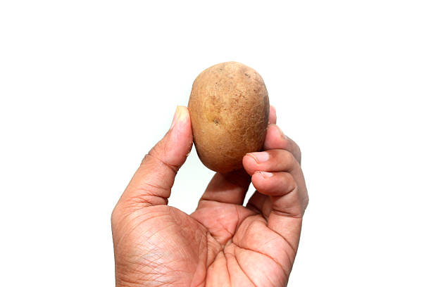 istock hand holding potato isolated on white background 2229547818