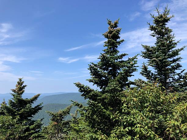 istock Devil's Path Hike in August in Catskill Mountains in New York State. 2229549470