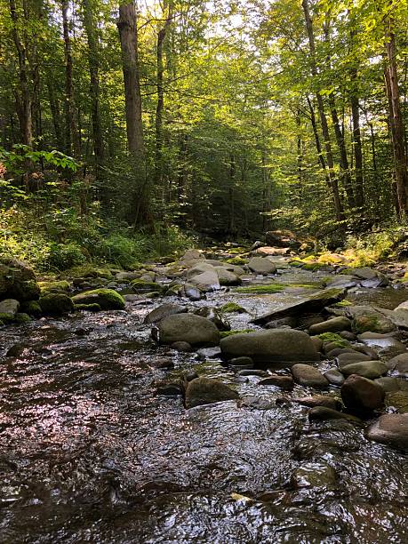 istock Devil's Path Hike in August in Catskill Mountains in New York State. 2229549664