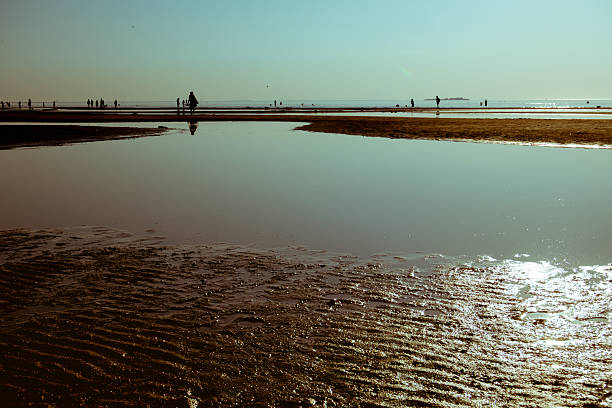 Evening beach with silhouettes of vacationers
