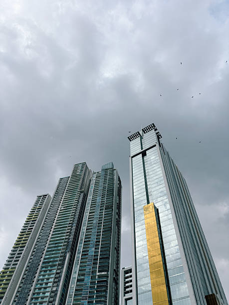 A dramatic low-angle view of modern glass and steel skyscrapers reaching into a grey, overcast sky in Panama City. A few birds can be seen flying high above the impressive urban architecture