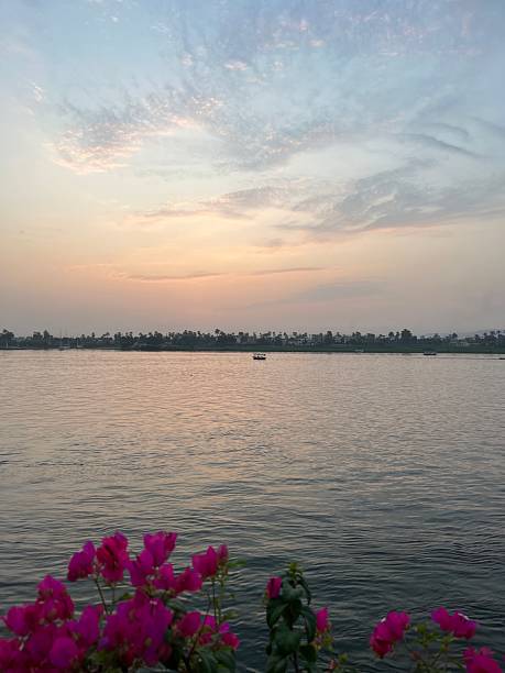 Beautiful sunset view over the Nile River from a hotel in Luxor, Egypt. The warm colors of the sky reflect on the calm water, framed by palm trees and the distant desert landscape. A serene and picturesque moment capturing the natural beauty of the Nile at dusk.