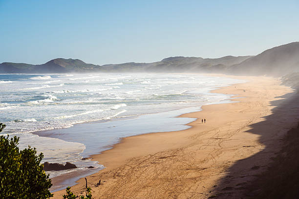 istock Garden Route, South Africa 2229560159