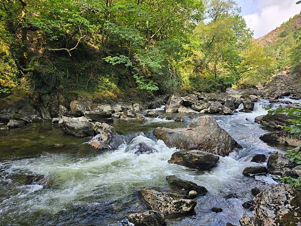 istock Flowing river Beddgelert North Wales 2229563399