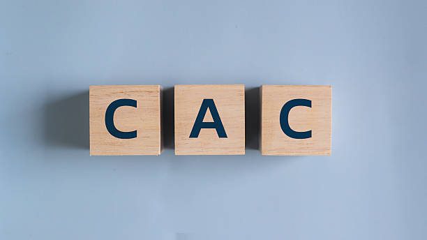 istock Wooden blocks with letters CAC representing customer acquisition cost on a light blue background, concept of marketing analytics and business performance measurement 2229564674