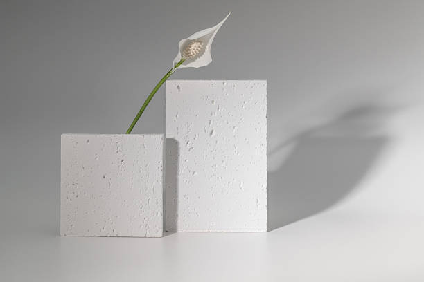 istock Minimalistic eco-friendly postcard, presentation, invitation with spathiphyllum flower and plaster molds. 2229566427
