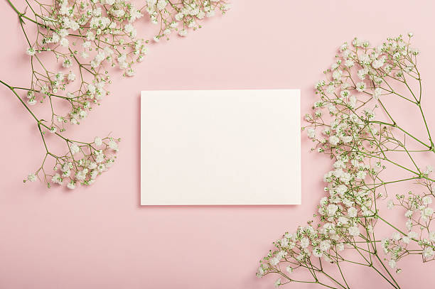 istock Delicate white gypsophila flowers and a blank card on a pink background. Flat composition. Postcard, invitation. 2229566633