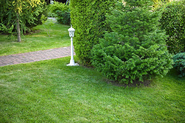country house and garden