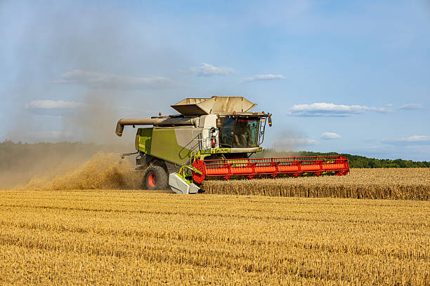 istock A powerful combine harvester is actively gathering wheat in a vast field on a sunny day, showcasing modern agricultural practices 2229568968