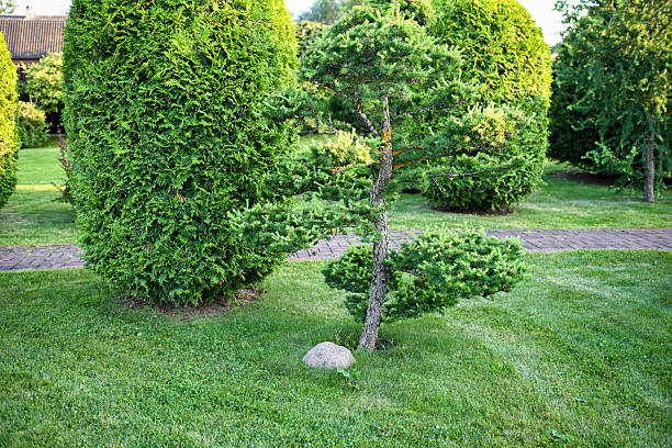 istock country house and garden 2229569068