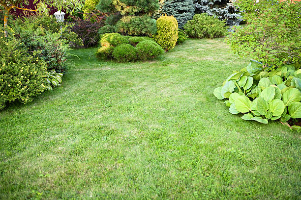 istock country house and garden 2229569236