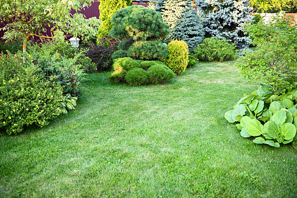 istock country house and garden 2229569475