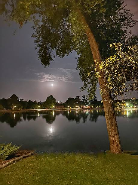 istock Casa de Campo Lake in Madrid at night with a full moon 2229569697