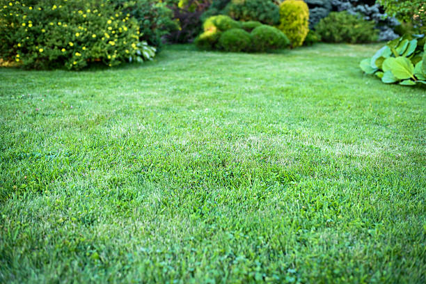 istock country house and garden 2229570748