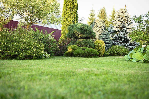 istock country house and garden 2229570876