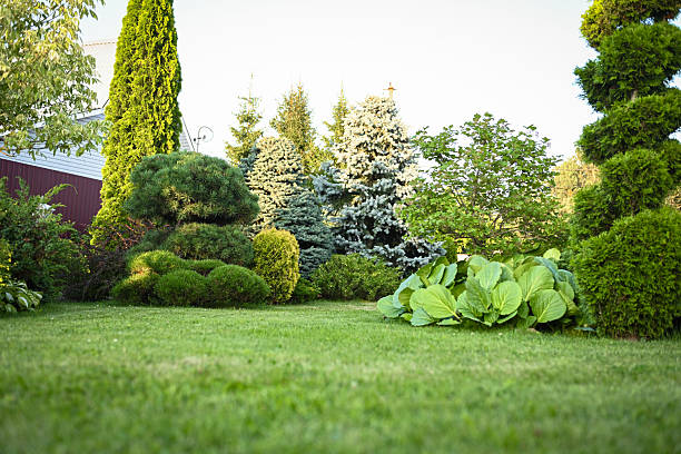 istock country house and garden 2229571028