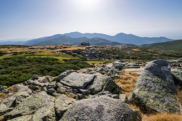 Mountain landscape in summer in the Sierra de Gredos