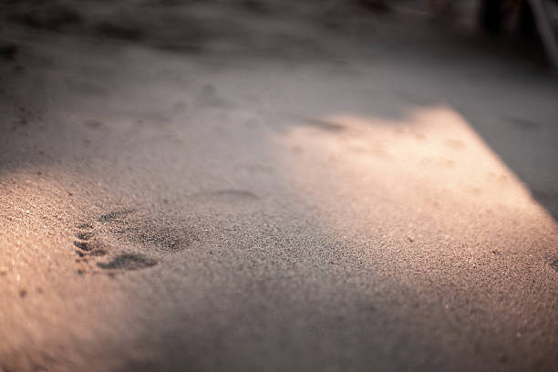 Close-up of warm beach sand with visible footprints — summer vacation, seaside texture, coastal holiday vibes