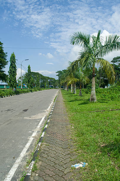 istock Scenic Road with Palm Trees and Greenery A Nature Inspired Landscape Image Style 2229575979