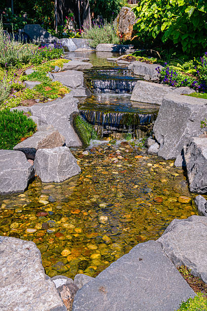 istock Small Tacoma Garden Stream 2229582025