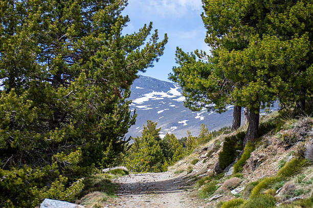 istock Cloudy over mountains on trail to Mulhacen peak 2229582834