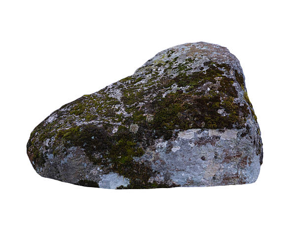istock stone overgrown with moss isolated on white background highest detail 2229585794