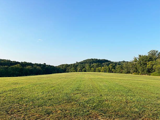istock Field in Public Park 2229586134